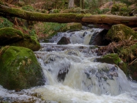 Nationalpark Harz Ilsetal Ilsefall