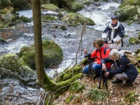 Nationalpark Harz Ilsetal