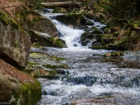 Nationalpark Harz Ilsetal Ilsefall