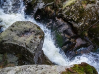 Nationalpark Harz Ilsetal Ilsefall