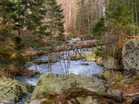 Nationalpark Harz Ilsetal Ilsefall