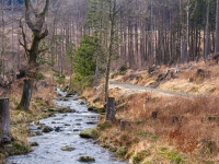 Nationalpark Harz Ilsetal Ilsefall