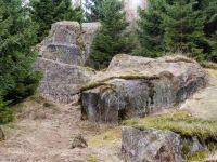 Nationalpark Harz Ilsetal