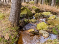 Nationalpark Harz Ilsetal