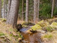 Nationalpark Harz Ilsetal