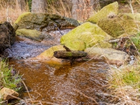 Nationalpark Harz Ilsetal