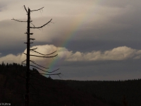 Nationalpark Harz Ilsetal