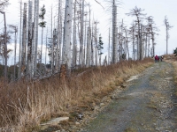 Nationalpark Harz Ilsetal