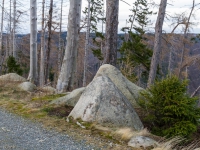 Nationalpark Harz Ilsetal