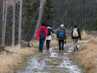 Nationalpark Harz Ilsetal