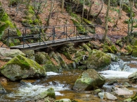 Nationalpark Harz Ilsetal