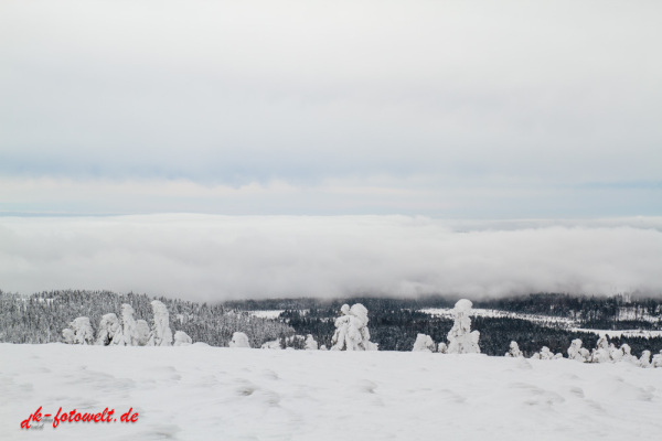 Blick vom Brocken