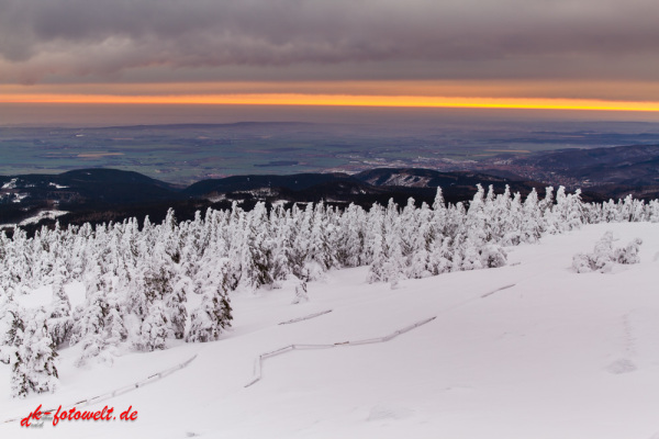 Nationalpark Harz Sonnenaufgang auf dem Brockenplateau Harz