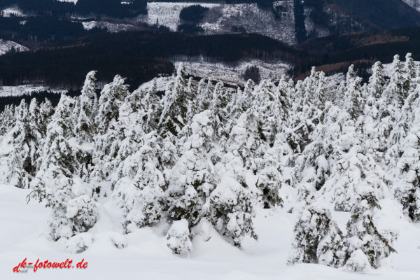 Nationalpark Harz Blick vom Brockenplateau