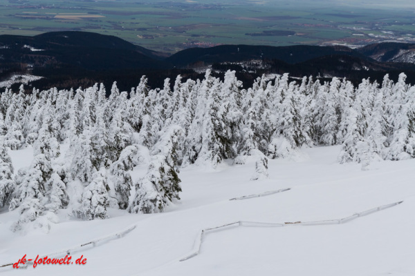 Nationalpark Harz Blick vom Brockenplateau