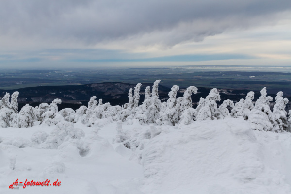 Nationalpark Harz Blick vom Brockenplateau