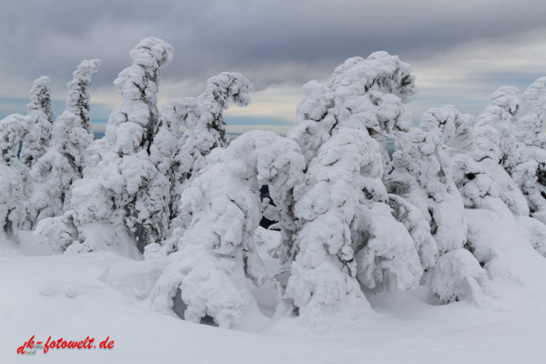 Nationalpark Harz Blick vom Brockenplateau