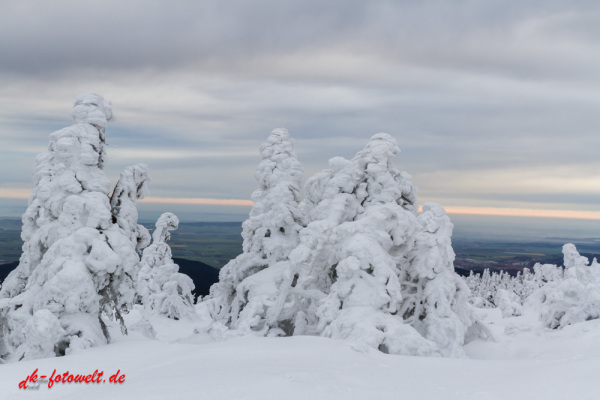 Nationalpark Harz Blick vom Brockenplateau