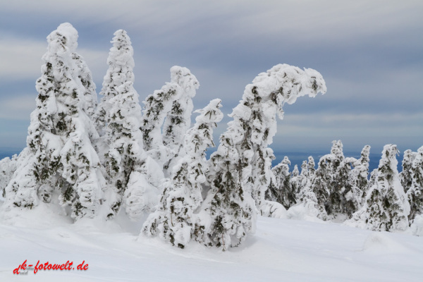 Nationalpark Harz Blick vom Brockenplateau