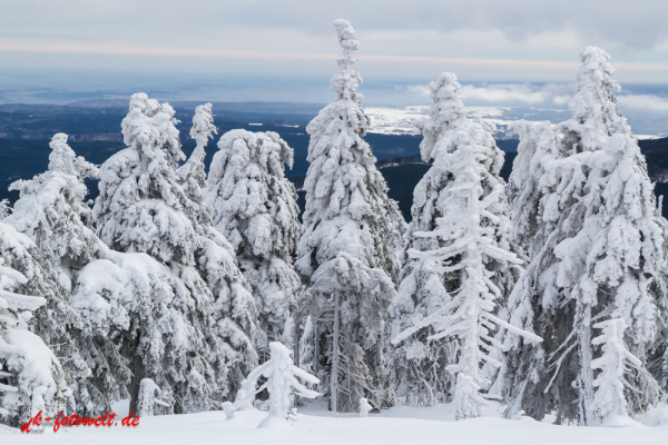 Nationalpark Harz Blick vom Brockenplateau