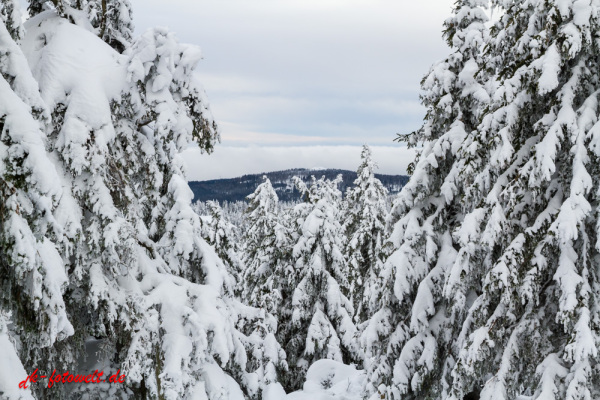 Nationalpark Harz Blick vom Brockenplateau