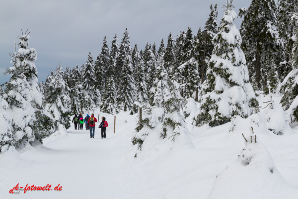 Nationalpark Harz Blick vom Brockenplateau