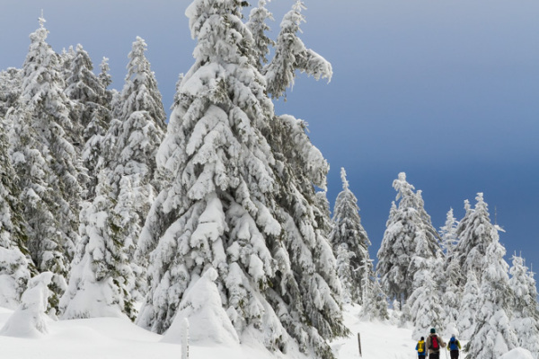 Nationalpark Harz Blick vom Brockenplateau