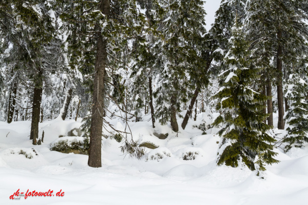 Nationalpark Harz Blick vom Brockenplateau