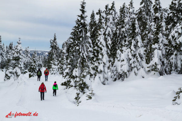 Nationalpark Harz Blick vom Brockenplateau