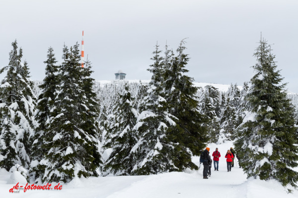 Nationalpark Harz Blick vom Brockenplateau