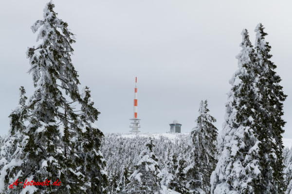 Nationalpark Harz Blick vom Brockenplateau