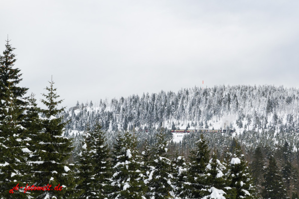 Nationalpark Harz Blick vom Brockenplateau