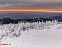 Nationalpark Harz Sonnenaufgang auf dem Brockenplateau Harz