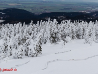 Nationalpark Harz Blick vom Brockenplateau