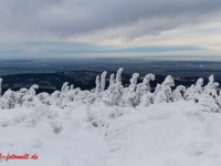 Nationalpark Harz Blick vom Brockenplateau