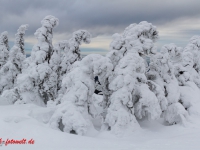 Nationalpark Harz Blick vom Brockenplateau