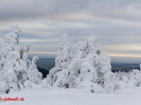 Nationalpark Harz Blick vom Brockenplateau