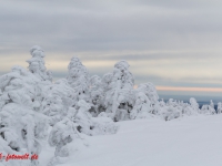 Nationalpark Harz Blick vom Brockenplateau