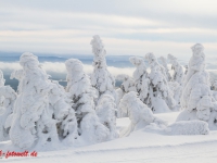 Nationalpark Harz Blick vom Brockenplateau