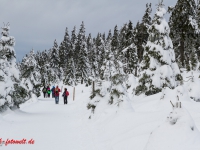 Nationalpark Harz Blick vom Brockenplateau