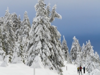 Nationalpark Harz Blick vom Brockenplateau