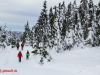 Nationalpark Harz Blick vom Brockenplateau