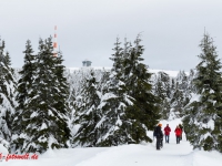 Nationalpark Harz Blick vom Brockenplateau