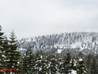 Nationalpark Harz Blick vom Brockenplateau