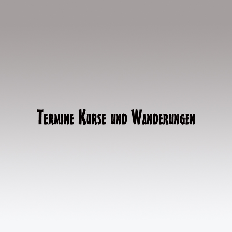 Fotokurse und Fotowanderungen