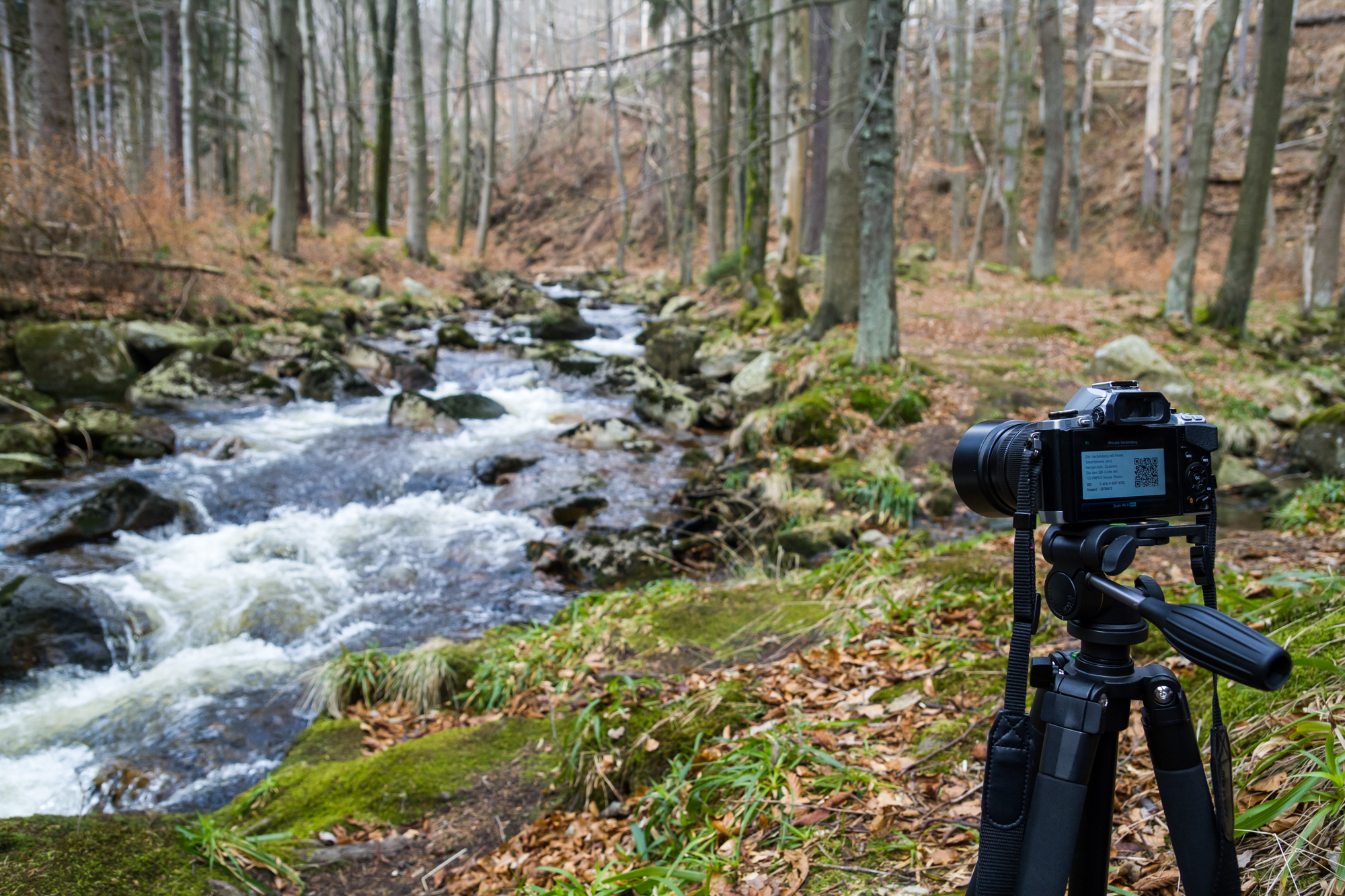 Fotokurs Erste Schritte in die digitale Fotografie