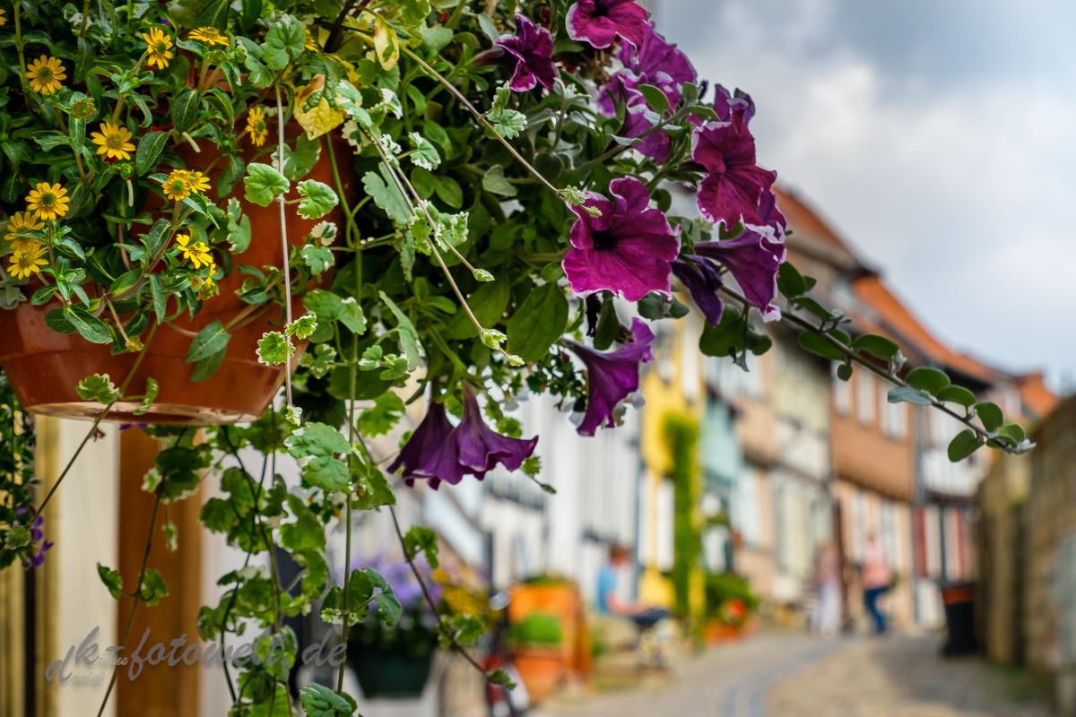 fotografischer Streifzug Bilder aus Quedlinburg Daniel Kühne-13